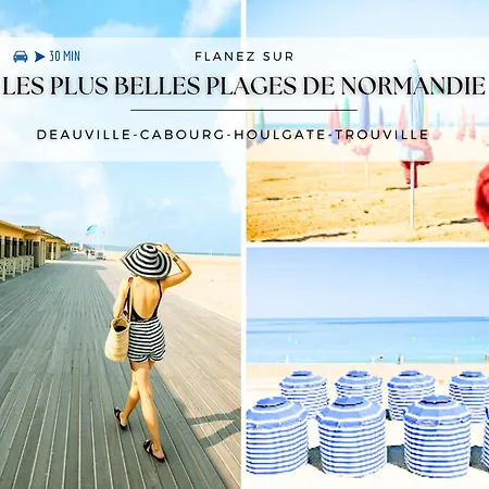 Charme & Vue Imprenable - Face Au Jardin De L'eveche Lisieux